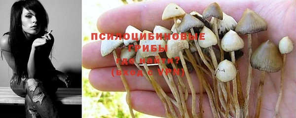 крисы Верхнеуральск