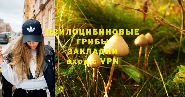 spice Волосово