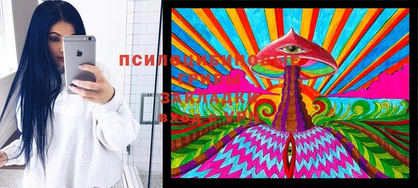 крисы Верхнеуральск